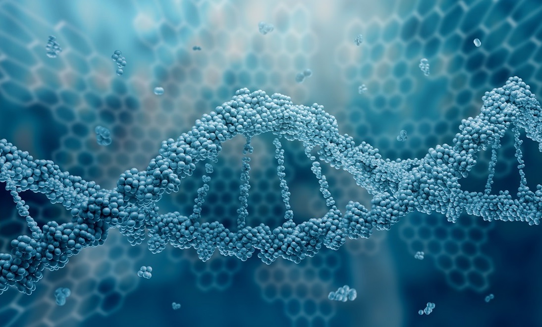 DNA-Molekül