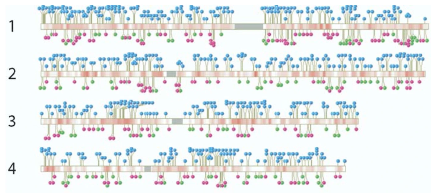 Einfügestellen eines Retrovirus in die DNA