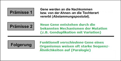 Schema einer kausalen evolutionären (DN-) Erklärung
