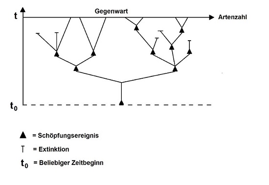 Paraevolutionäre Design-Vorstellung
