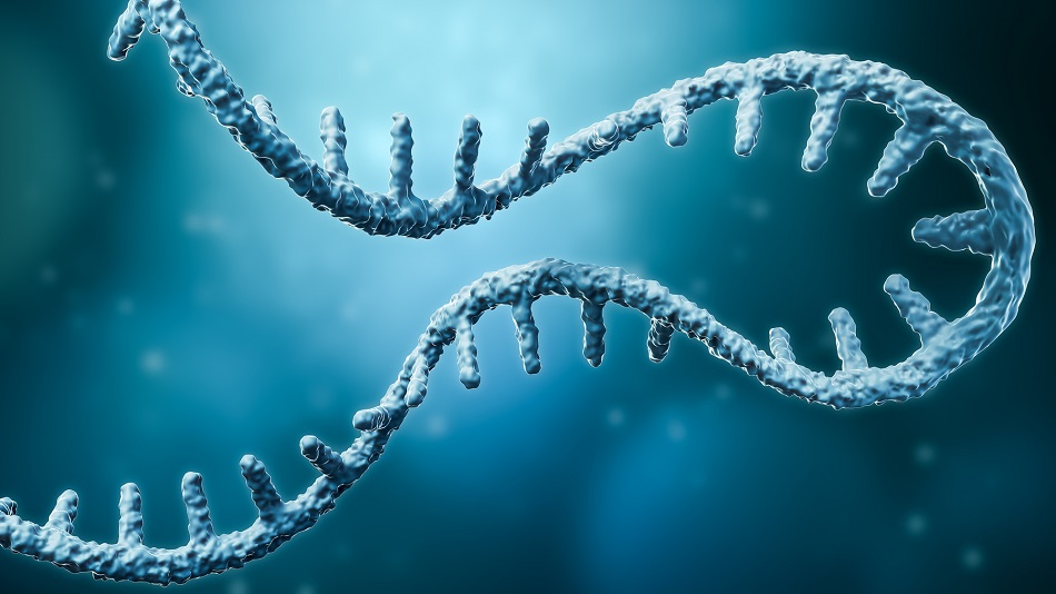 RNA-Moleküle