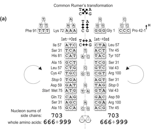 Rumer-Transformation
