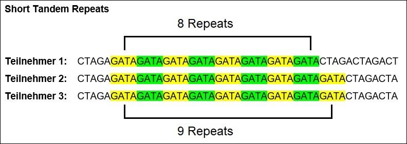 Short Tandem Repeats