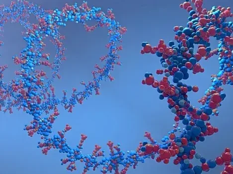 Was bedeutet Evolution?