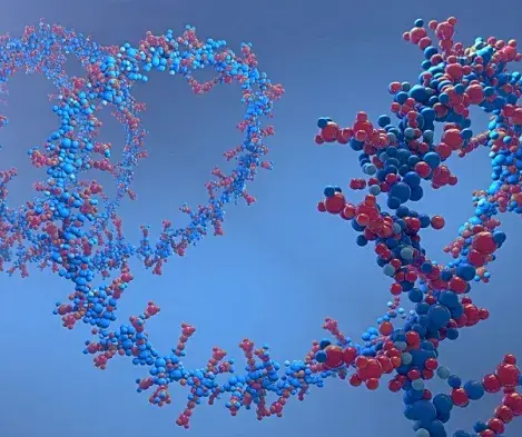 Was bedeutet Evolution?